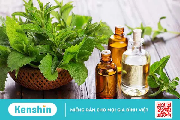 Giải đáp: Tinh dầu bạc hà có những công dụng gì? 1