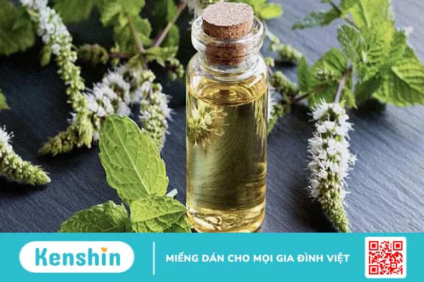 Giải đáp: Tinh dầu bạc hà có những công dụng gì? 2