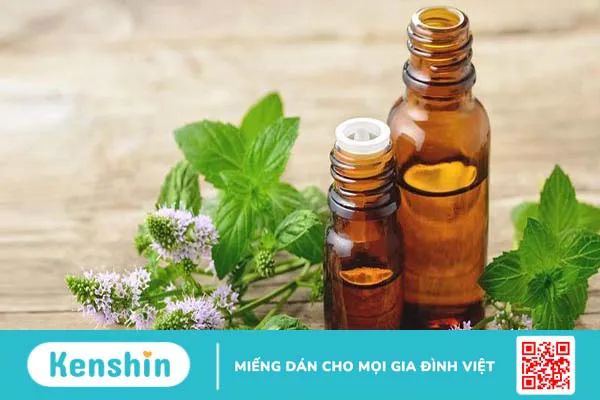 Giải đáp: Tinh dầu bạc hà có những công dụng gì? 3