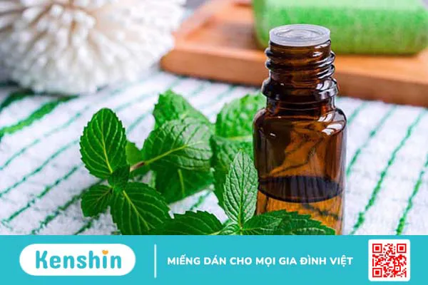 Giải đáp: Tinh dầu bạc hà có những công dụng gì? 4