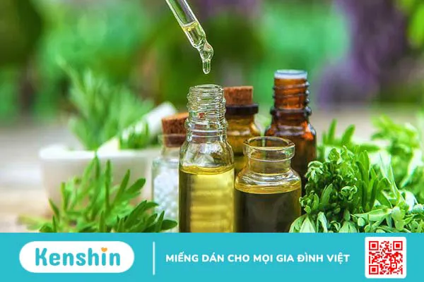 Tinh dầu ngải cứu và công dụng tuyệt vời có thể bạn chưa biết 1