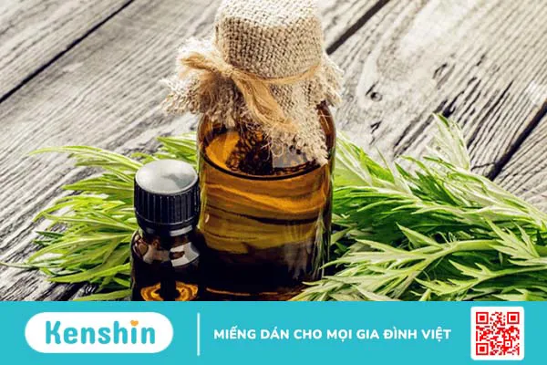 Tinh dầu ngải cứu và công dụng tuyệt vời có thể bạn chưa biết 4