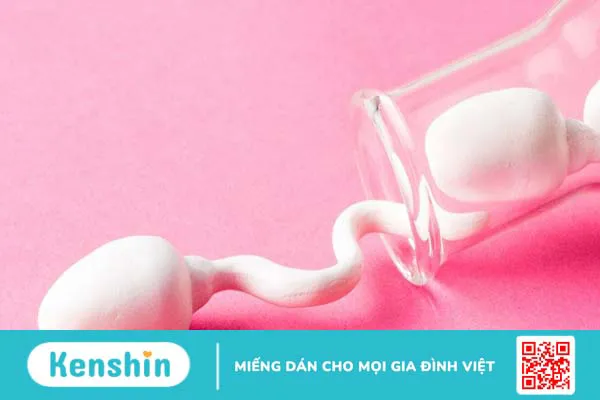 Tình trạng nhịn xuất tinh là gì? Tác hại của việc kiềm chế xuất tinh tới sức khỏe nam giới