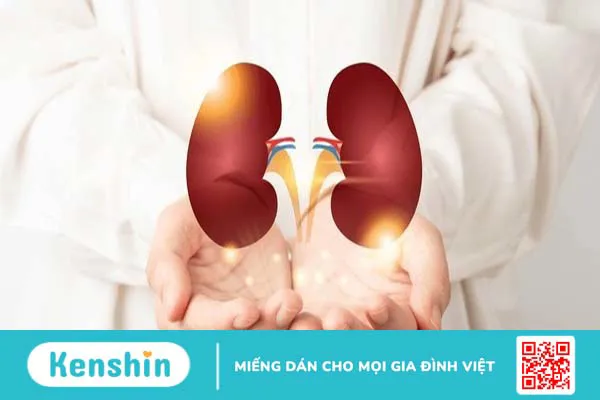 Tình trạng thải ghép thận là gì? Dấu hiệu của thải ghép thận