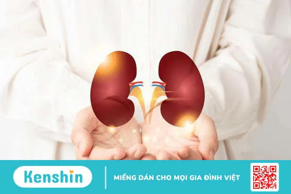 Tình trạng thải ghép thận là gì? Dấu hiệu của thải ghép thận