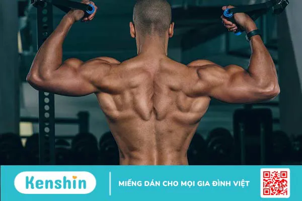 Top các bài tập cơ lưng xô hiệu quả dành cho nam giới