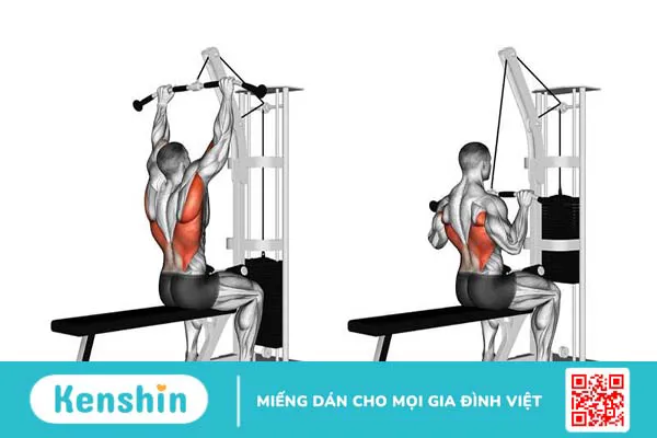 Top các bài tập cơ lưng xô hiệu quả dành cho nam giới