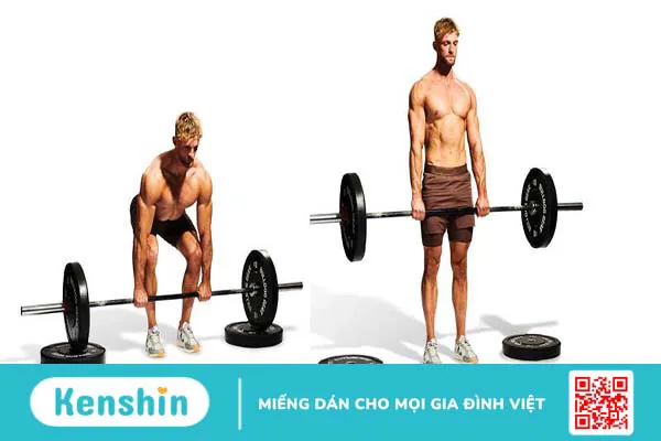 Top các bài tập cơ lưng xô hiệu quả dành cho nam giới