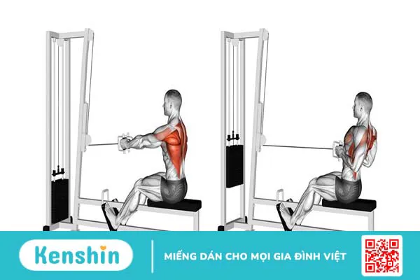 Top các bài tập cơ lưng xô hiệu quả dành cho nam giới