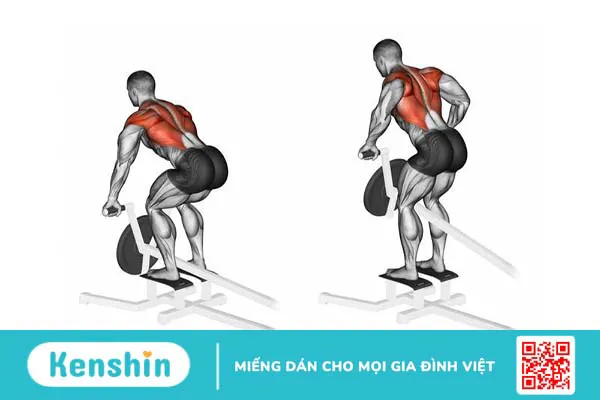 Top các bài tập cơ lưng xô hiệu quả dành cho nam giới