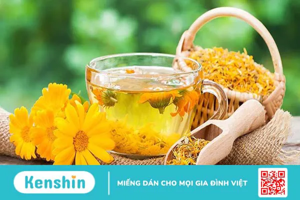 Trà Calendula: Lợi ích đối với sức khỏe và làm đẹp