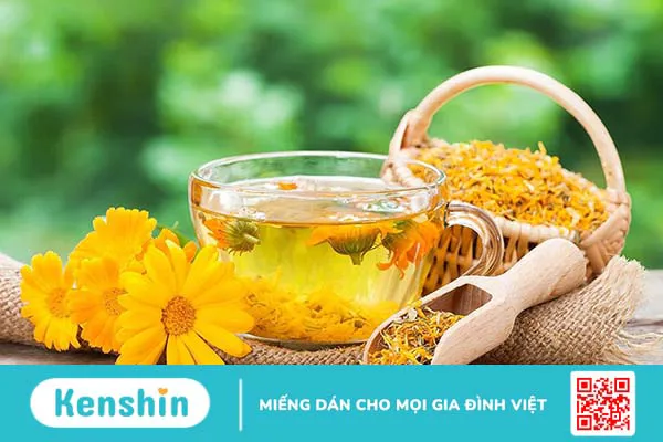 Trà Calendula: Lợi ích đối với sức khỏe và làm đẹp 1