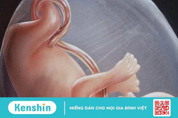 Trẻ sơ sinh uống nước ối có sao không?