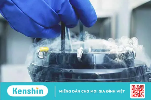 Trữ đông noãn là gì? Quy trình và chi phí thực hiện