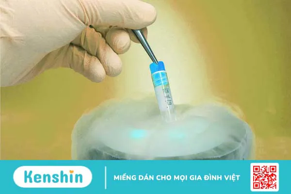 Trữ đông noãn là gì? Quy trình và chi phí thực hiện