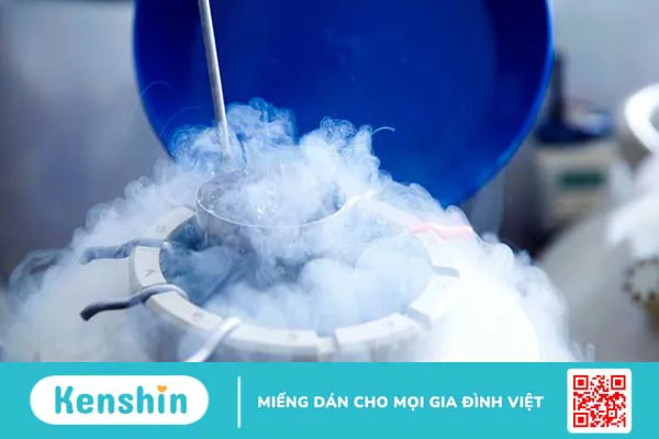 Trữ đông noãn là gì? Quy trình và chi phí thực hiện