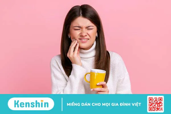 Tủy răng: Cấu tạo, vai trò và bệnh lý thường gặp 3