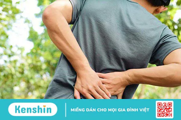 U cơ mỡ mạch thận là gì? Các dấu hiệu nhận biết u cơ mỡ mạch thận