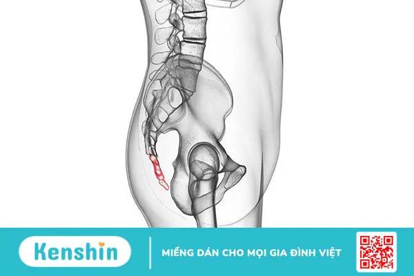 U nguyên sống (chordoma) là gì? Những thông tin cần biết