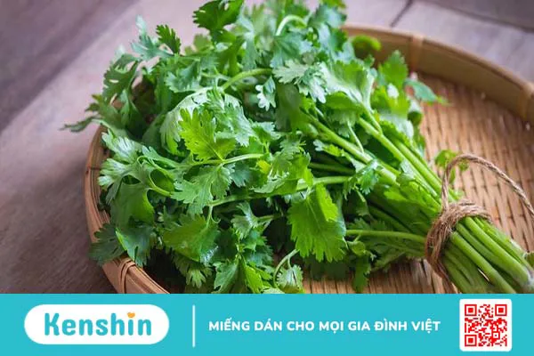 Uống nước rau mùi có tác dụng gì? Những cách sử dụng rau mùi tốt cho sức khỏe