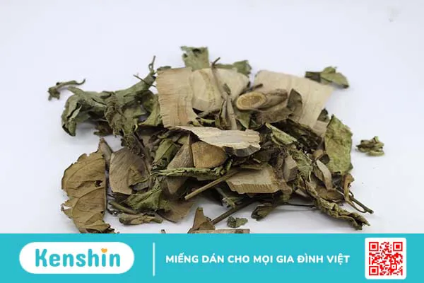 Uống xạ đen có giảm cân không?