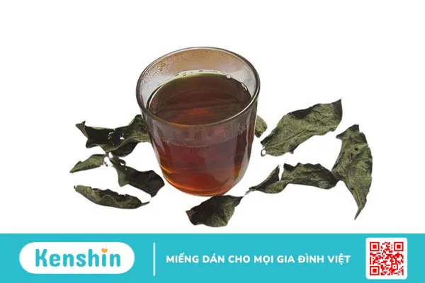 Uống xạ đen có giảm cân không?