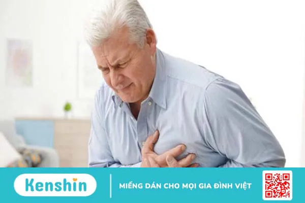 Van động mạch chủ: Cấu trúc, chức năng và bệnh lý thường gặp