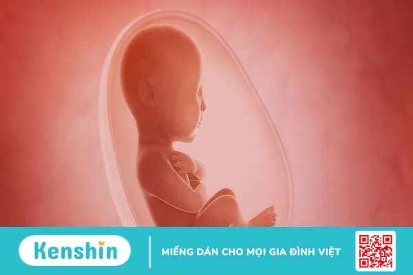 Vận động sau sinh đi lại nhiều có bị sa tử cung hay không?