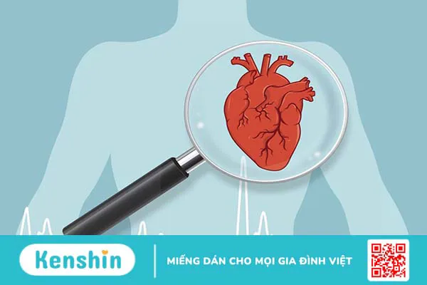 Van tim là gì? Có vai trò thế nào với trái tim của bạn? 3