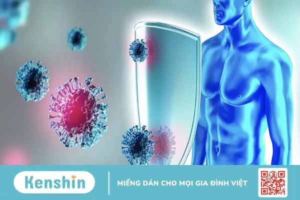 Vi khuẩn Burkholderia cepacia - Mầm bệnh gây nhiễm trùng bệnh viện 3