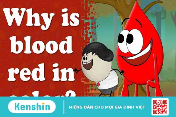 Vì sao máu có màu đỏ? Những yếu tố nào ảnh hưởng đến màu sắc của máu? 1