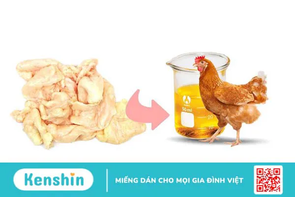 Vì sao mỡ cá và mỡ gia cầm lại tốt cho sức khỏe 2