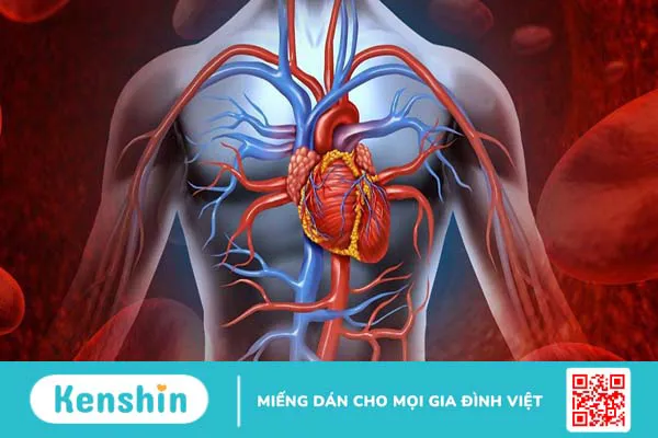 Vì sao rung nhĩ gây huyết khối? Các loại thuốc chống đông dùng trong rung nhĩ