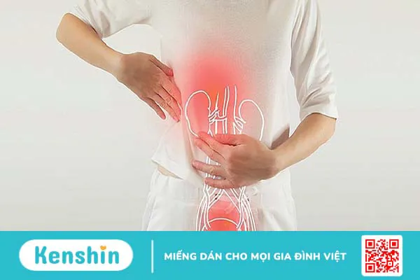 Vị trí và cấu tạo của bàng quang