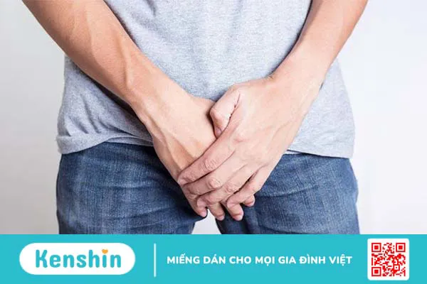 Vị trí và cấu tạo của bàng quang