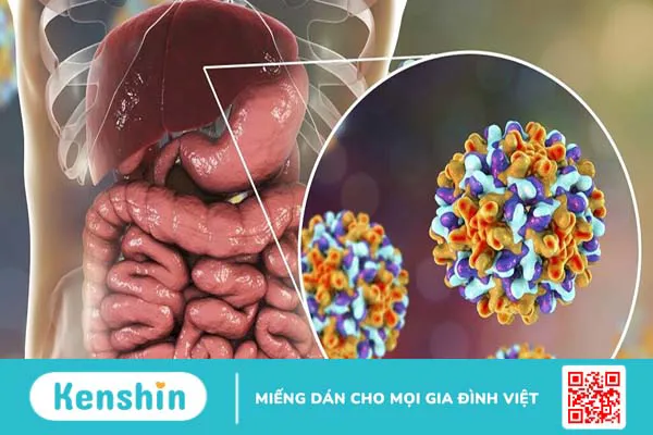 Viêm gan B tự khỏi được không? Một số cách phòng bệnh viêm gan B