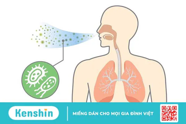 Viêm phổi cộng đồng ở người lớn: Giải đáp các câu hỏi thường gặp cùng bác sĩ Nguyễn Văn My 1