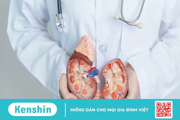 Viên uống Stonix-F: Trợ thủ đắc lực hỗ trợ điều trị sỏi thận