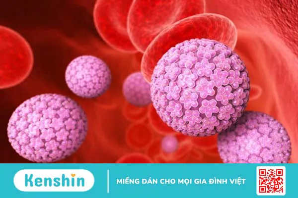 Virus HPV 31, 33, 35 gây nên những bệnh gì?