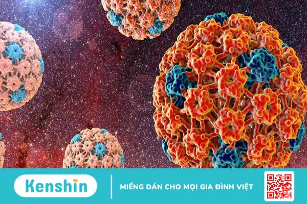 Virus HPV type 16 gây bệnh gì? Phòng ngừa như thế nào?