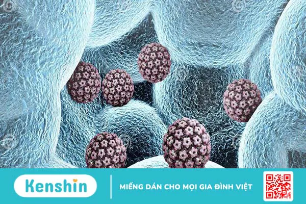 Virus HPV type 16 gây bệnh gì? Phòng ngừa như thế nào?