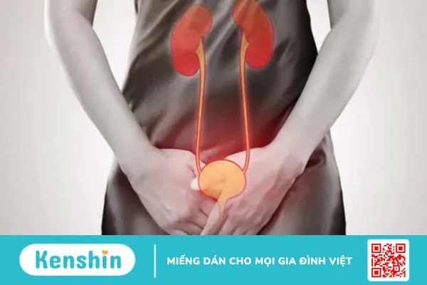 Vô niệu: Tình trạng nhiều người mắc phải hiện nay