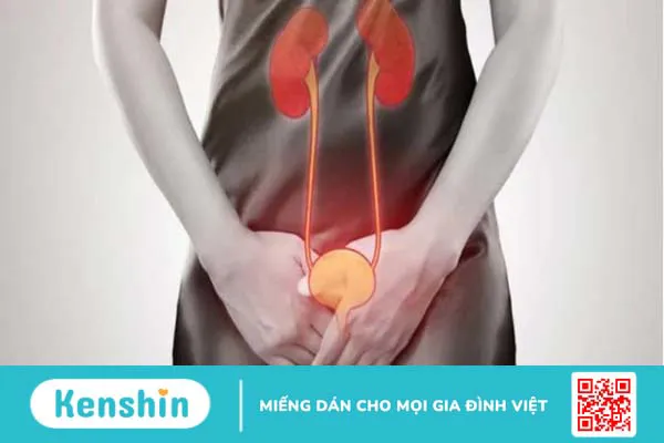 Vô niệu: Tình trạng nhiều người mắc phải hiện nay 1