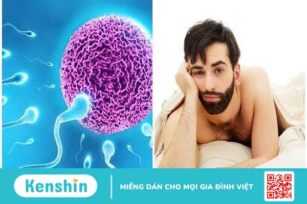 Vô sinh nam có phải yếu sinh lý? Sự thật bạn cần biết 3