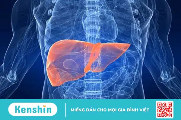 Vôi hóa gan là bệnh gì? Điều trị bệnh vôi hoá gan như thế nào? 1