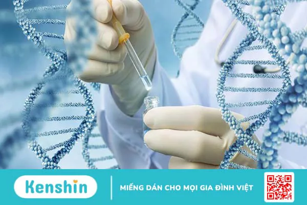 Xét nghiệm ADN bằng tóc và những điều bạn cần biết