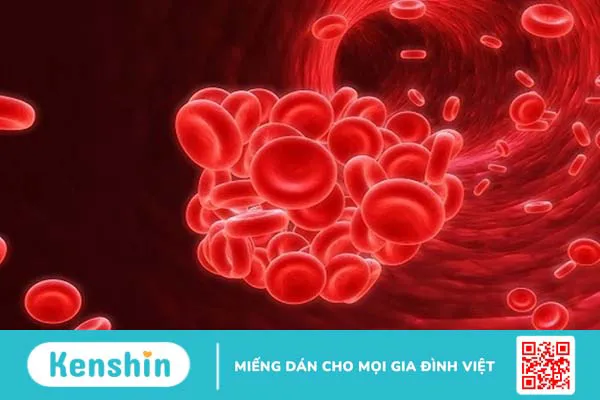 Xét nghiệm Cytochrome P450 là gì? Những thông tin cần biết 1