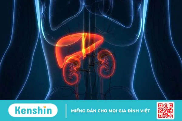 Xét nghiệm điện di protein huyết thanh là gì?