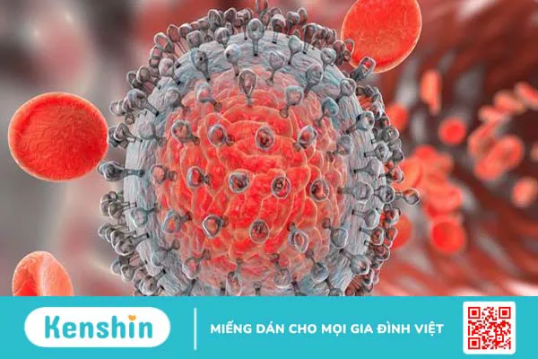 Xét nghiệm HCV Ab là gì? Vai trò của HCV Ab trong chẩn đoán bệnh viêm gan 2