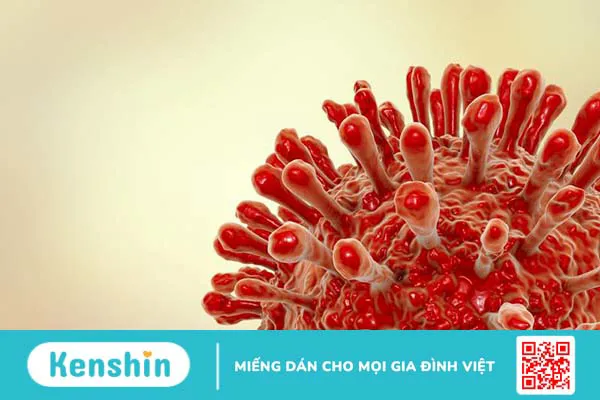 Xét nghiệm HIV ở đâu TPHCM? Thời điểm nào nên thực hiện xét nghiệm?